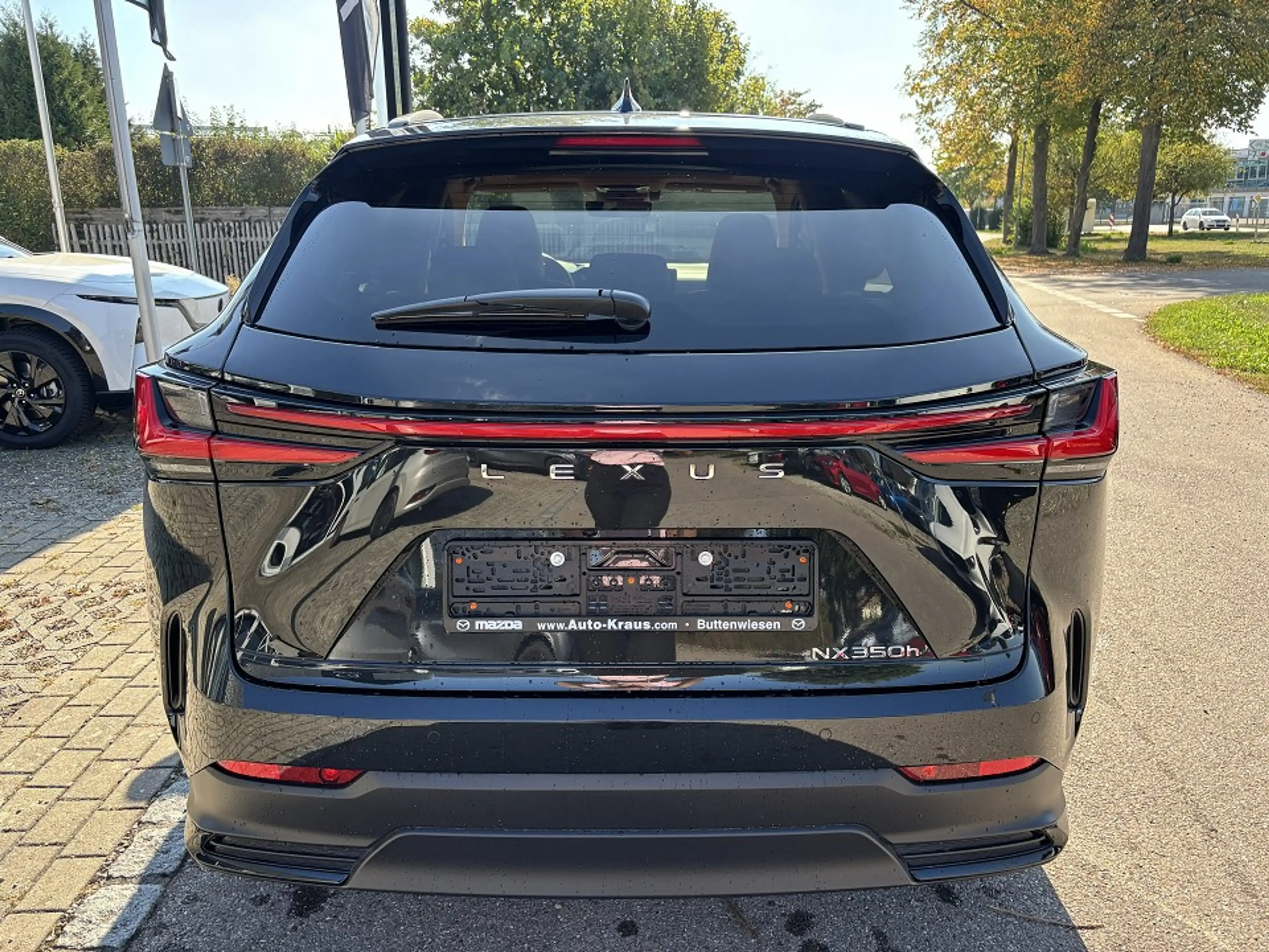Lexus NX 350h Executive Line E-Four Head-up 360°-Kamera — photo 5