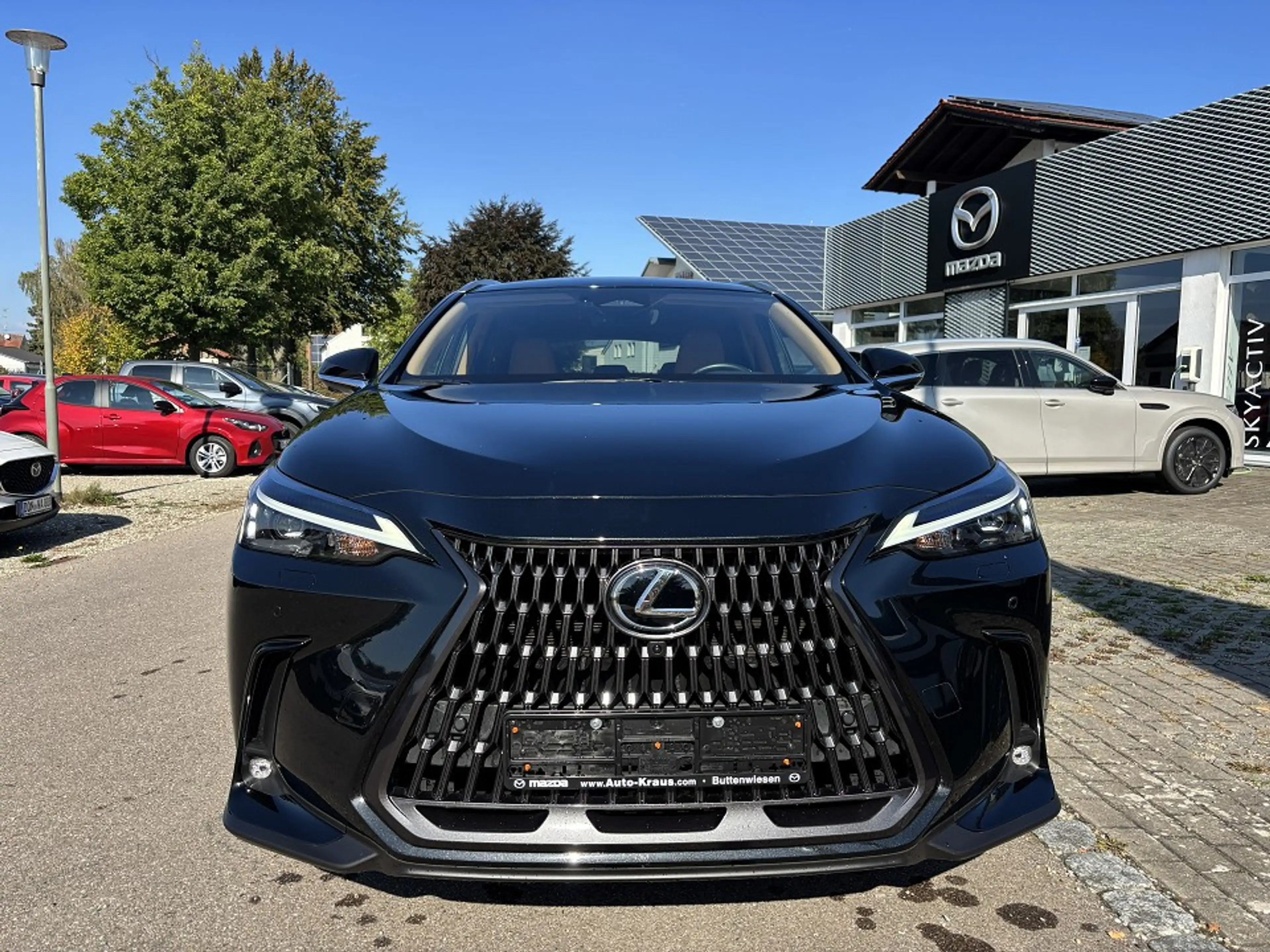 Lexus NX 350h Executive Line E-Four Head-up 360°-Kamera — photo 2