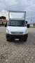 Iveco Daily 35C13 Bianco - thumbnail 1