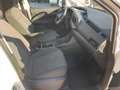 Volkswagen Caddy 2.0 TDI 102CV FURGONE CARGO Blanc - thumbnail 9