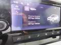 SEAT Arona FR Austria EcoTSI Blanc - thumbnail 13