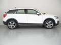 Audi Q2 35 TDI Design S tronic 110kW Weiß - thumbnail 3