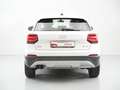 Audi Q2 35 TDI Design S tronic 110kW Weiß - thumbnail 5
