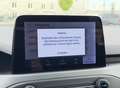 Ford Focus Focus Turnier 1,5 EcoBlue Cool *TOP AUSSTATTUNG* Schwarz - thumbnail 19