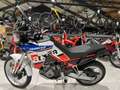 Aprilia Tuareg 660 Dakar Podium Modrá - thumbnail 6