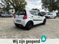 Suzuki Alto 1.0 Base TOP OCCASION Weiß - thumbnail 13