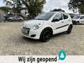 Suzuki Alto 1.0 Base TOP OCCASION Weiß - thumbnail 10