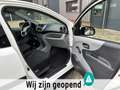 Suzuki Alto 1.0 Base TOP OCCASION Weiß - thumbnail 21