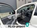 Suzuki Alto 1.0 Base TOP OCCASION Weiß - thumbnail 19