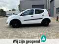 Suzuki Alto 1.0 Base TOP OCCASION Weiß - thumbnail 12