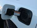 Kia Ceed SW / cee'd SW Sportswagon 1.6 GDI PHEV DynamicPlusLine | Apple C Blanco - thumbnail 24