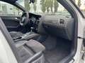 Audi S4 3.0 TFSI S tronic quattro Weiß - thumbnail 16
