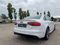 Audi S4 3.0 TFSI S tronic quattro Weiß - thumbnail 9