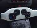 Fiat Panda Panda 1.0 firefly hybrid s&s 70cv 5p.ti Blu/Azzurro - thumbnail 10