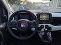 Fiat Panda Panda 1.0 firefly hybrid s&s 70cv 5p.ti Blu/Azzurro - thumbnail 8