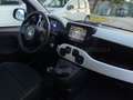 Fiat Panda Panda 1.0 firefly hybrid s&s 70cv 5p.ti Blu/Azzurro - thumbnail 7