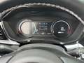 Kia e-Niro EXECUTIVELINE 64 KWH I FASE 3 I ACCU = 100% I P-CA Grijs - thumbnail 21