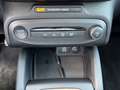 Ford Focus 1.0 HYBRID 155 Aut. Active X |PD|AHK|B&O| Grau - thumbnail 28
