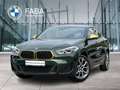 BMW X2 xDrive20i Edition GoldPlay M-Sport DAB LED Komfort Grün - thumbnail 1