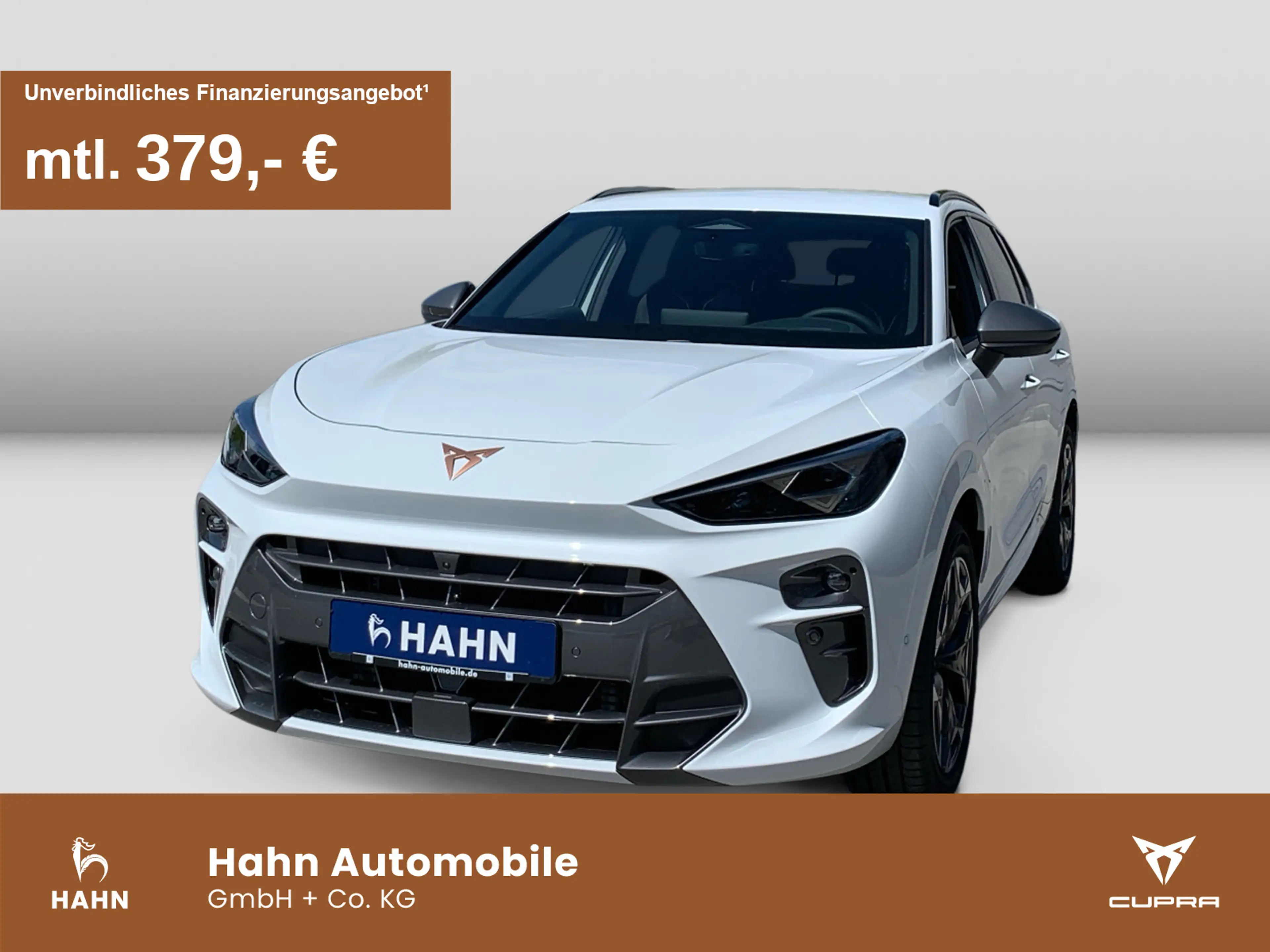 CUPRA Terramar VZ 2.0 TSI 265 PS Virtual Cockpit,AHK