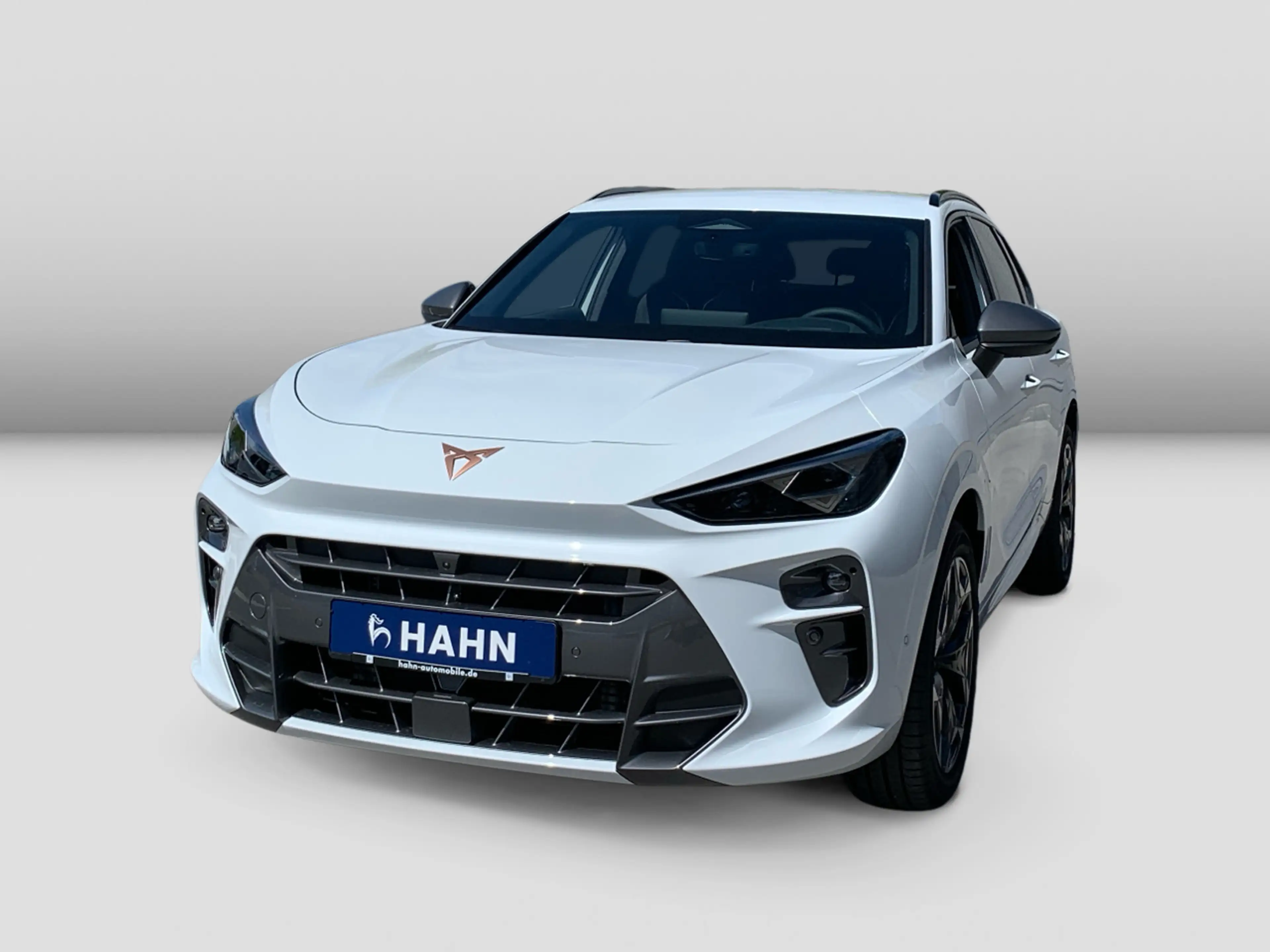 CUPRA Terramar VZ 2.0 TSI 265 PS Virtual Cockpit,AHK — photo 2
