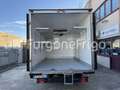Iveco Daily Coibentato Frigorifero Isotermico Frigo Blanc - thumbnail 8