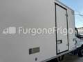 Iveco Daily Coibentato Frigorifero Isotermico Frigo Blanc - thumbnail 7