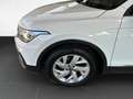 Volkswagen Tiguan 2.0 TDI DSG Active /AHK/Navi/Matrix/Pano Weiß - thumbnail 17