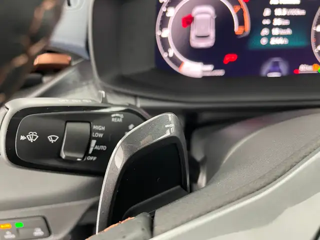 Cupra Terramar view 14