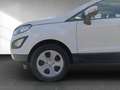 Ford EcoSport Trend 1.0 EcoBoost EU6d-T Wit - thumbnail 20