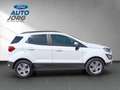 Ford EcoSport Trend 1.0 EcoBoost EU6d-T Blanco - thumbnail 6