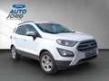 Ford EcoSport Trend 1.0 EcoBoost EU6d-T Wit - thumbnail 7