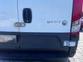 Iveco Daily 35 S14S V H2 4100 Blanco - thumbnail 15