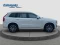Volvo XC90 T8 Inscription Plug-In Hybrid AWD/360K/20Zo Klima Weiß - thumbnail 6