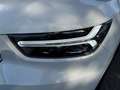 Volvo XC40 T3 Momentum Geartronic Weiß - thumbnail 7