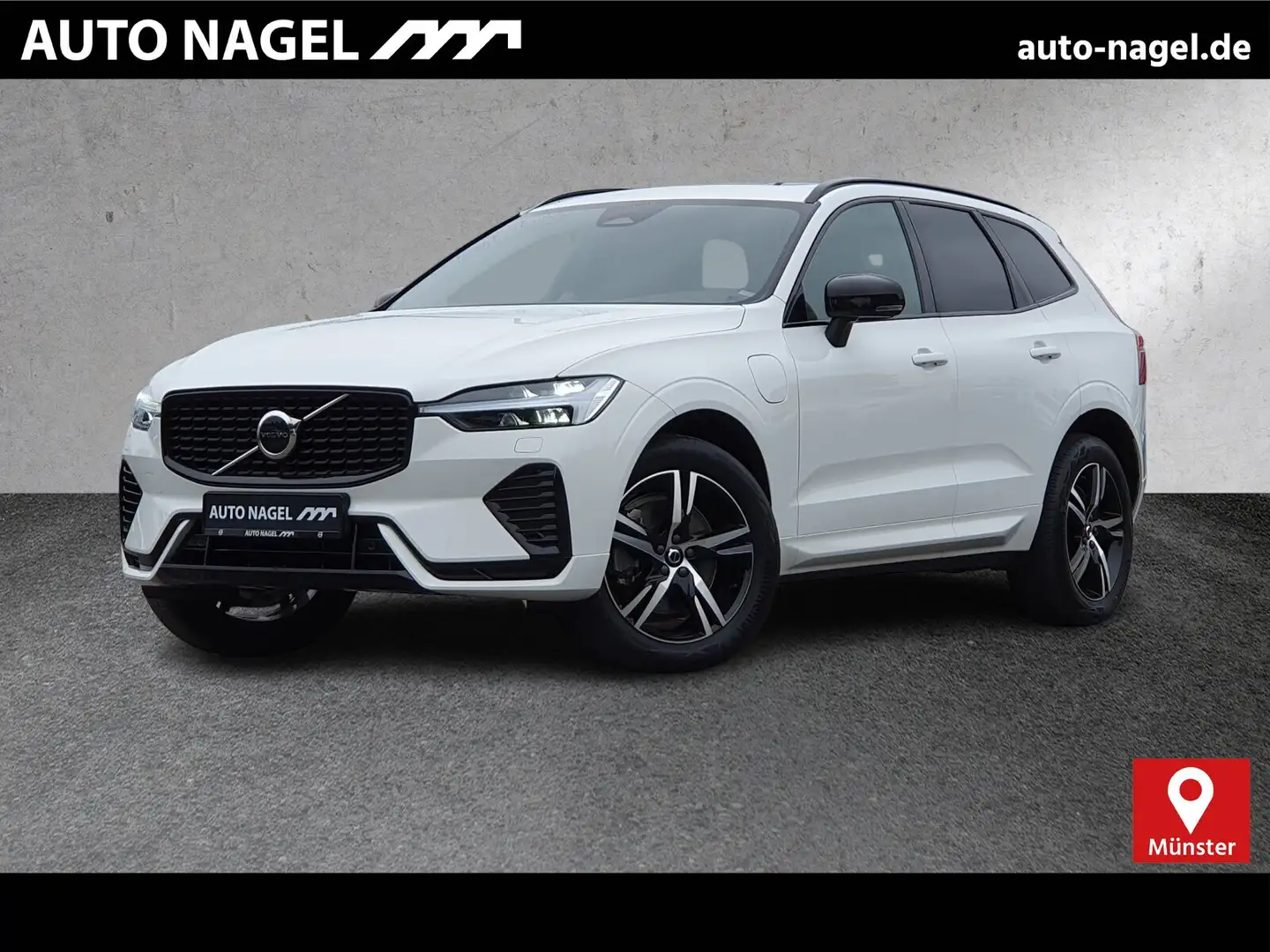 Volvo XC60 XC60 Recharge T8 R-Design LONG RANGE B&W|AHK|LED Weiß - 1