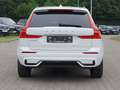 Volvo XC60 XC60 Recharge T8 R-Design LONG RANGE B&W|AHK|LED Weiß - thumbnail 5