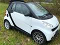 smart forTwo cabrio CDI Weiß - thumbnail 5
