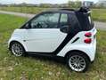 smart forTwo cabrio CDI Weiß - thumbnail 1