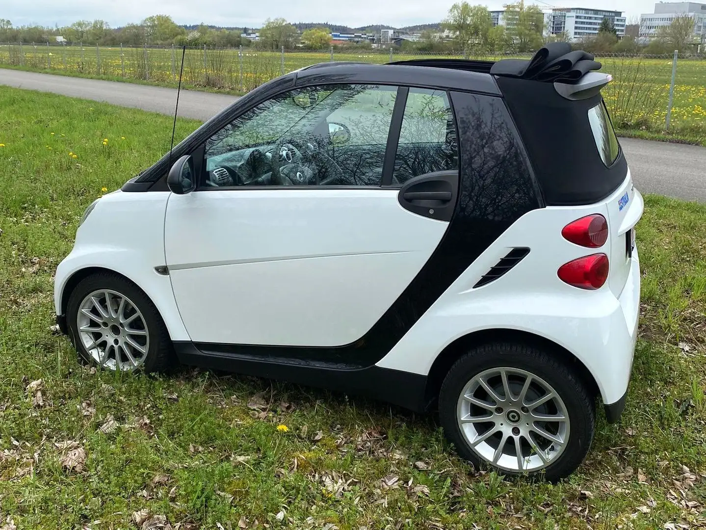 smart forTwo cabrio CDI Blanc - 1