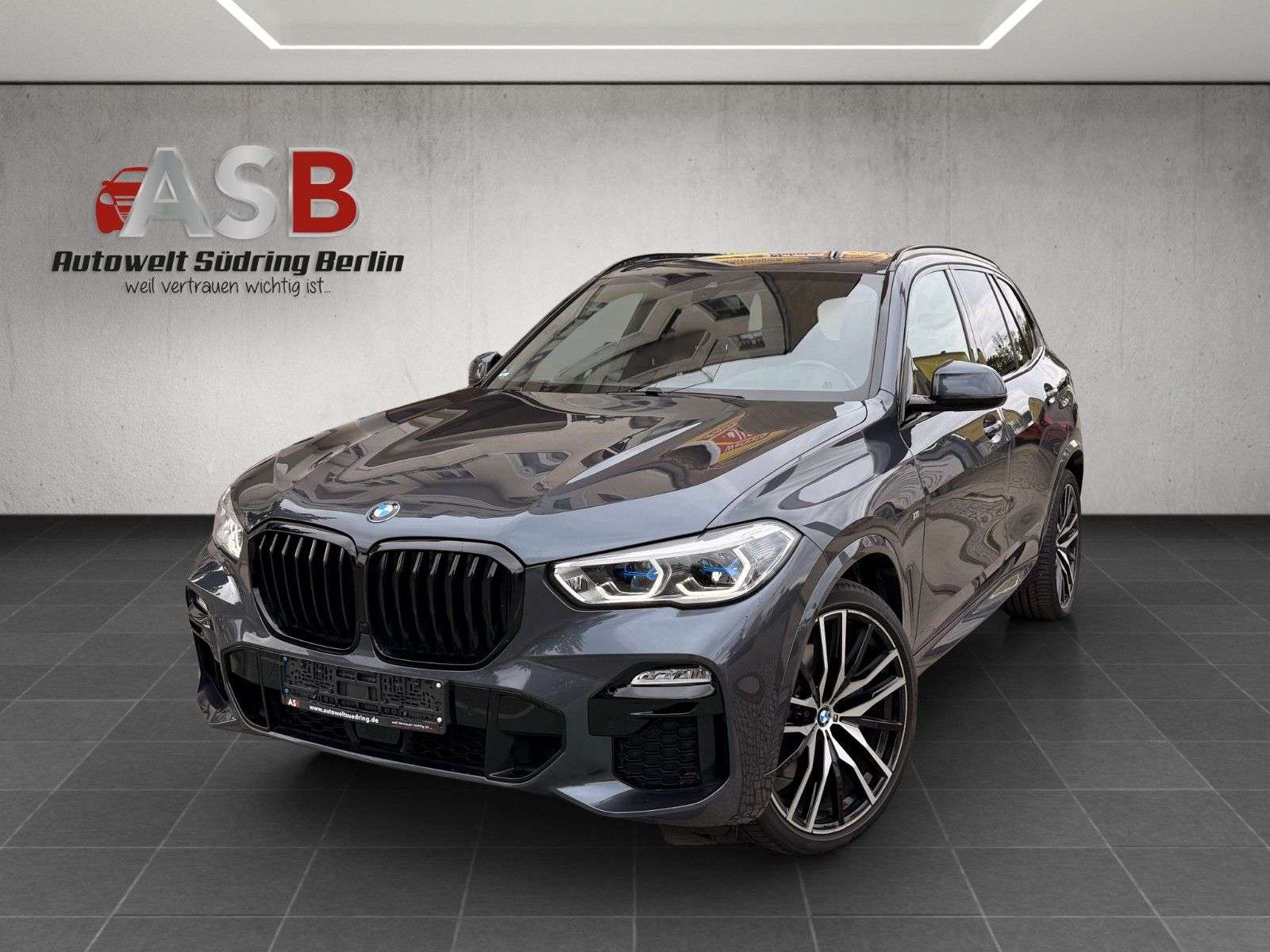 BMW X5 occasion