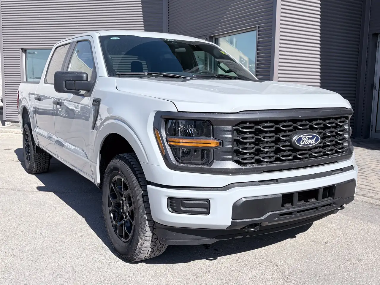 Ford F 150 fotografie Ford F 150