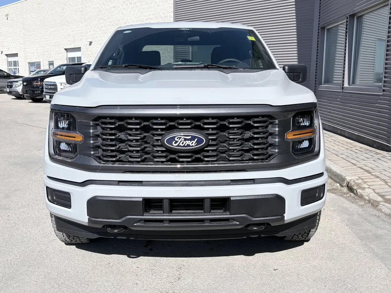 Ford F 150 fotografie Ford F 150