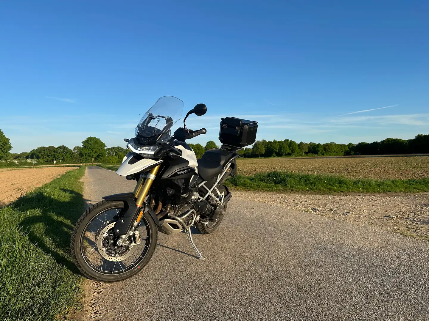 Triumph Tiger 1200 Rally Pro Alb - 1