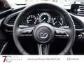 Mazda 3 2,5 L Exclusive Fastback Automatik BOSE|Matrix-LED Beige - thumbnail 10