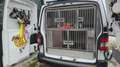 Volkswagen T5 Transporter Furgone per trasporto animali vivi. - thumbnail 3