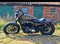 Harley-Davidson Iron 883 Sportster Grau - thumbnail 1