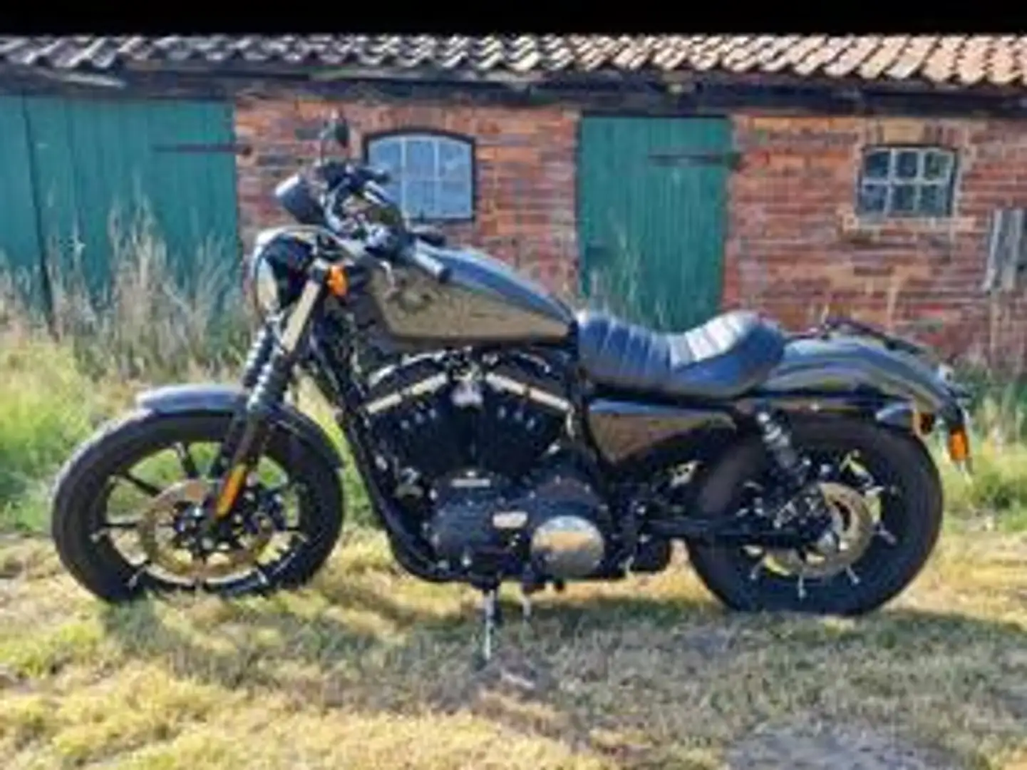 Harley-Davidson Iron 883 Sportster Gri - 1