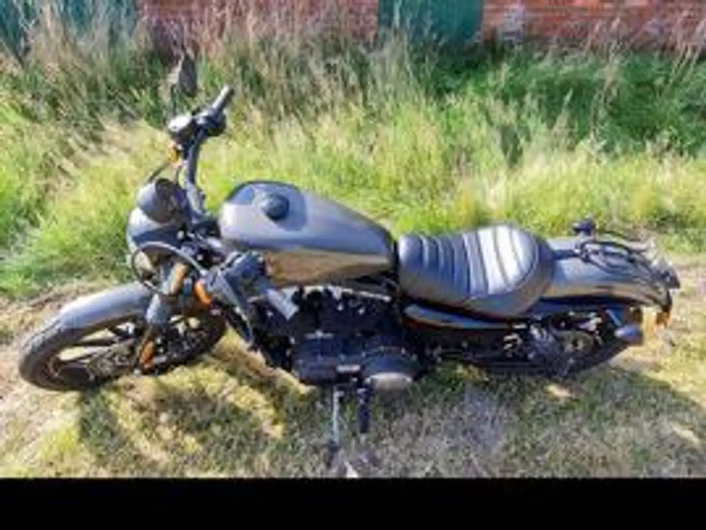 Harley-Davidson Iron 883 Sportster Grau - 2