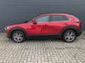 Mazda CX-30 2.5l (140PS) Takumi Leder Schwarz Bose NEU Rot - thumbnail 4